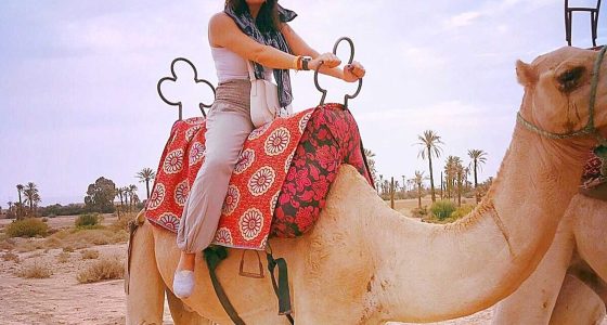 Camel ride Marrakech Sun Set