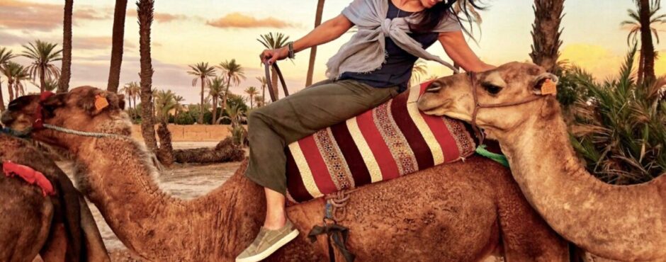 Camel ride Marrakech Palmeraie