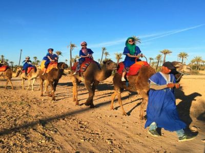 Camel Ride in Marrakech Palmeraie
