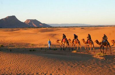 Zagora Desert Tour from Marrakech - Experience the Moroccan Sahara