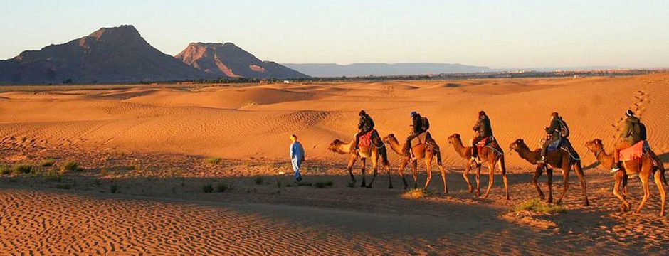 Zagora Desert Tour from Marrakech - Experience the Moroccan Sahara