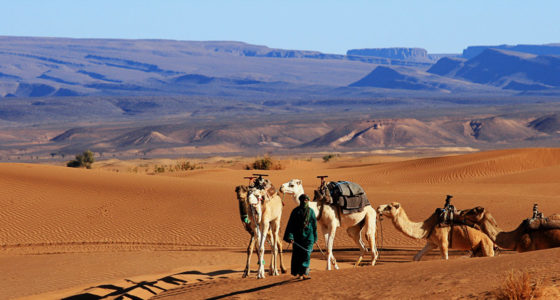 Zagoura desert tour From Marrakech