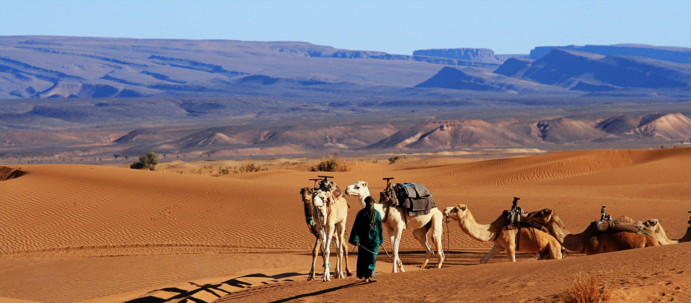 Zagoura desert tour From Marrakech 10-things-to-do-in-morocco