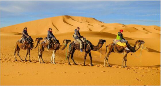 Desert tours from Marrakech