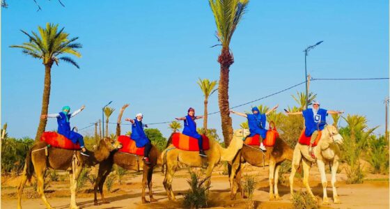 Marrakech Palmeraie Camel Ride