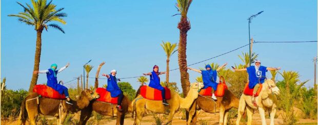 Marrakech Palmeraie Camel Ride