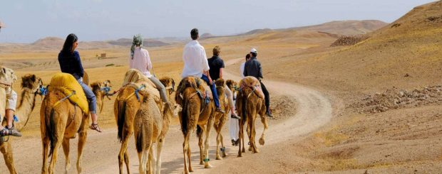 Quad Bike, Camel ride and dinner in the Agafay Desert