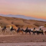 Agafay Desert Day Trip From Marrakech With Camel Ride, Quad Biking, Lunch & Pool or and Dinner & Show