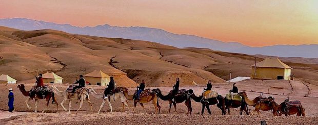 Agafay Desert Day Trip From Marrakech With Camel Ride, Quad Biking, Lunch & Pool or and Dinner & Show